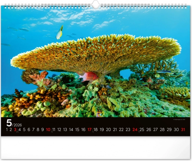 Calendar de perete Lumea subacvatică 2026
