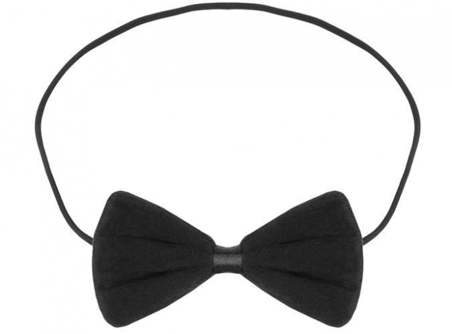 Costum pisică