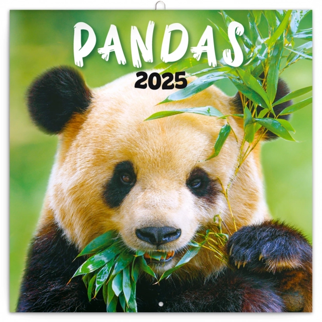 calendar de notițe panda 2025