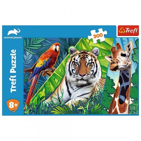 Puzzle fauna incredibilă 300 piese