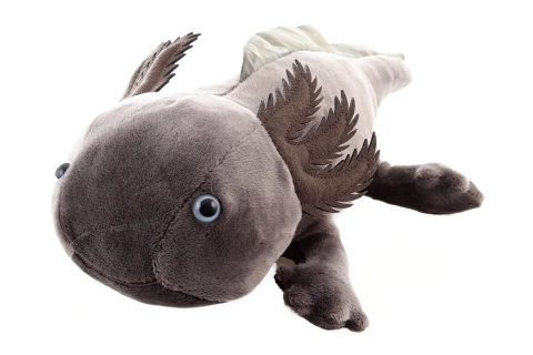 Axolotl de pluș Eco-Friendly 32 cm