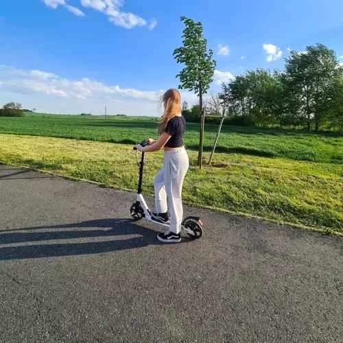 Trotinetă mare pliabilă cu suport Kruzzel