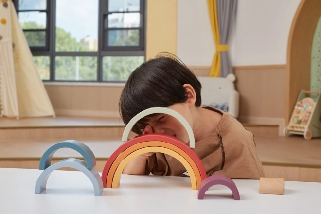 VIGA PolarB Puzzle Curcubeu Lemn Montessori