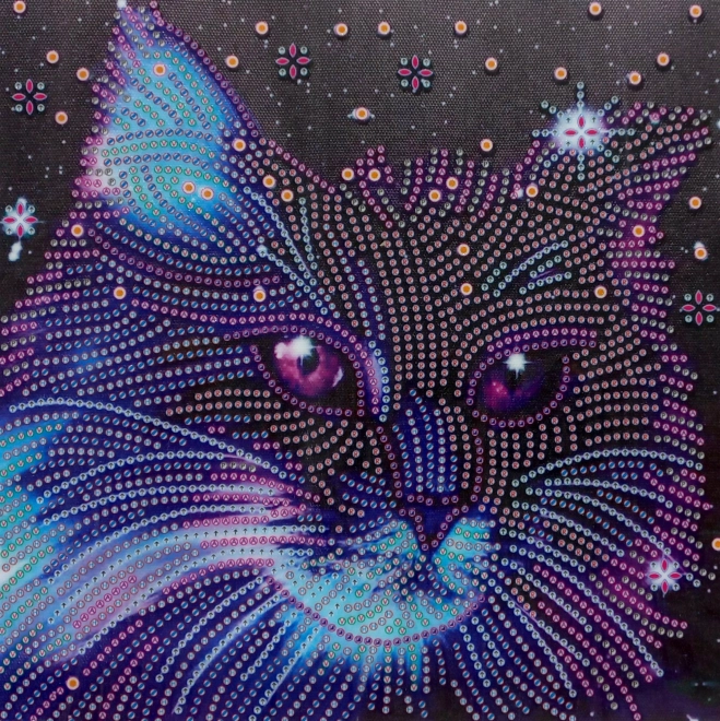 Pictură cu diamante 7D pisoiul stelar 30x30cm