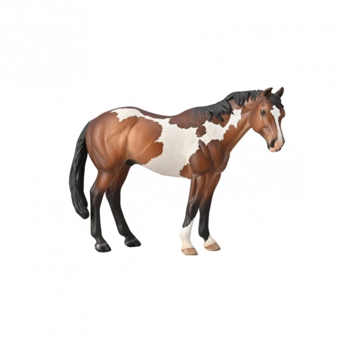 Armăsar Appaloosa Bay Overo Paint de la Collecta