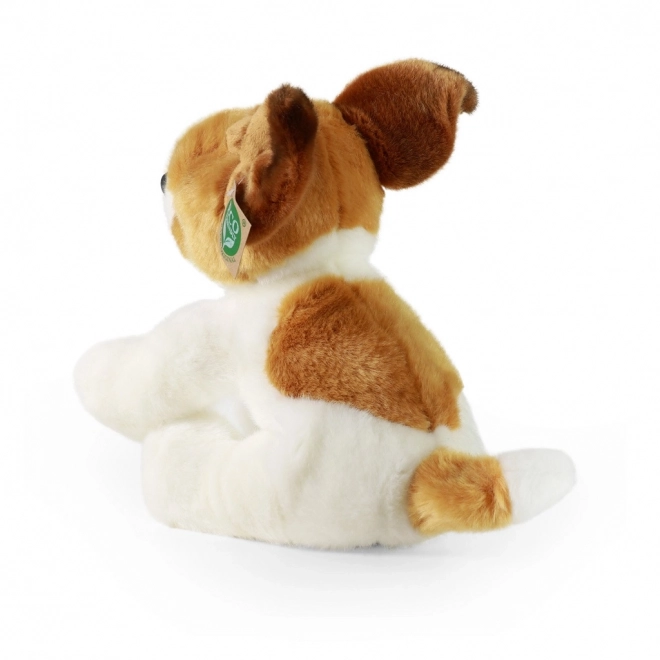 Pliș Jack Russell Terrier ECO prietenos