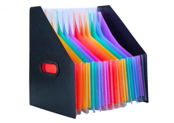 Clasă organizator verticală pentru documente cu file colorate negru A4