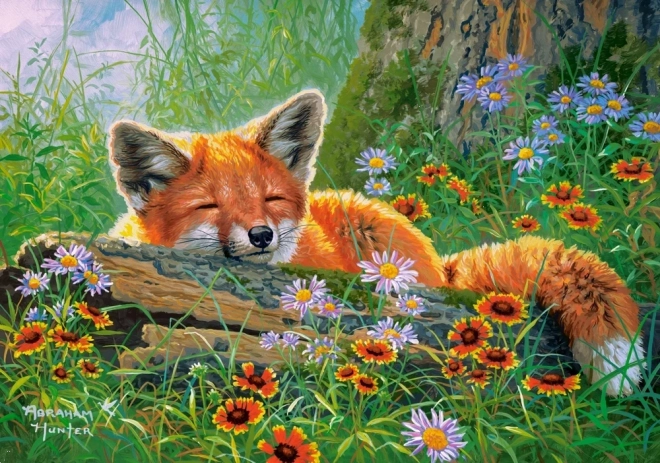 Puzzle de 500 piese Foxy Dreams