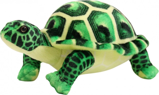 Jucărie Țestoasă de Pluș Verde 25cm