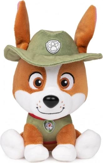 Design oficial PAW Patrol