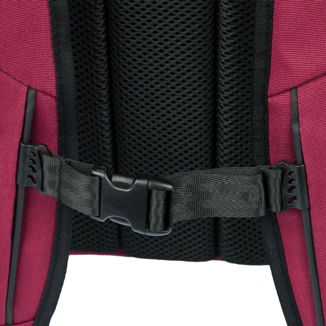 Rucsac vin roșu ergonomică Baagl
