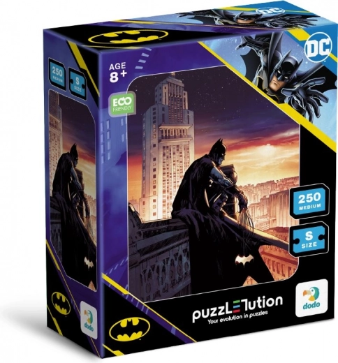 Puzzle Batman Zori de zi 250 piese