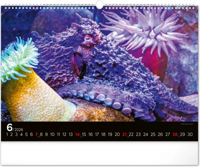 Calendar de perete Lumea subacvatică 2026