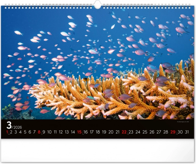 Calendar de perete Lumea subacvatică 2026