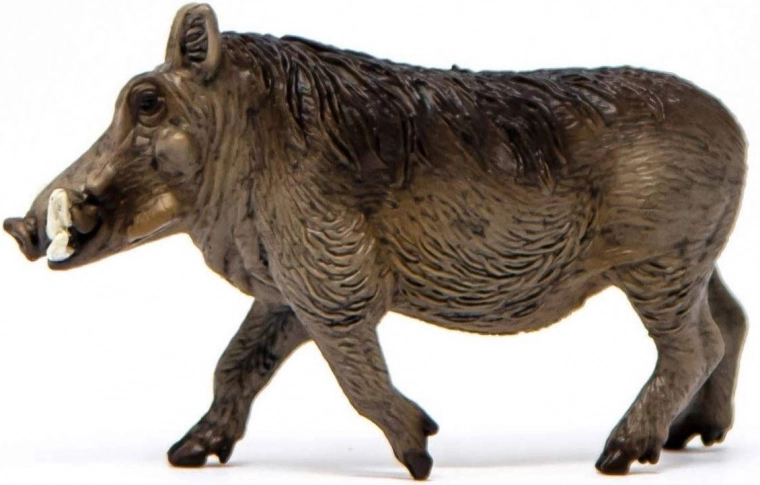 Excelentă pentru învățare și colecții