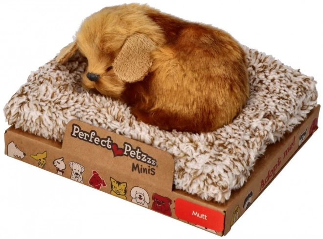 Căţeluş Perfect Petzzz