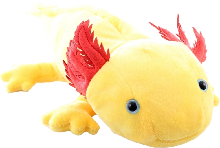 Ușor, rezistent și ușor de întreținut