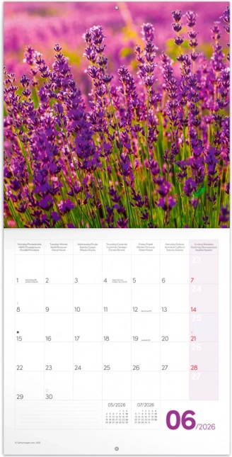 Calendar de notițe Provence 2026