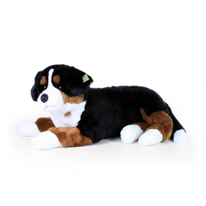 Câine Bernese de Pluș ECO-Friendly 89 cm