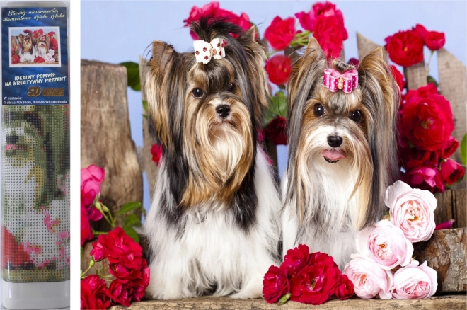 Set de pictură cu diamante - terrierii Yorkshire în trandafiri