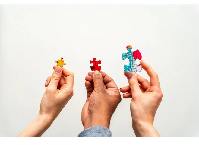 Puzzle 500 piese Vedere pe Coasta