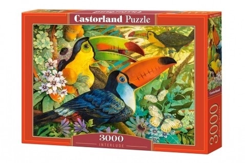 Puzzle Tucani colorati 3000 piese