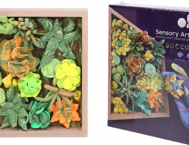 Set creativ modelare suculente în ramă de lemn