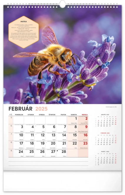 Calendar de perete apicol 2025