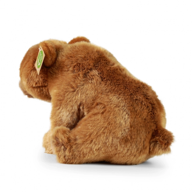 Ursuleț de pluș Grizzly eco-prietenos 30 cm