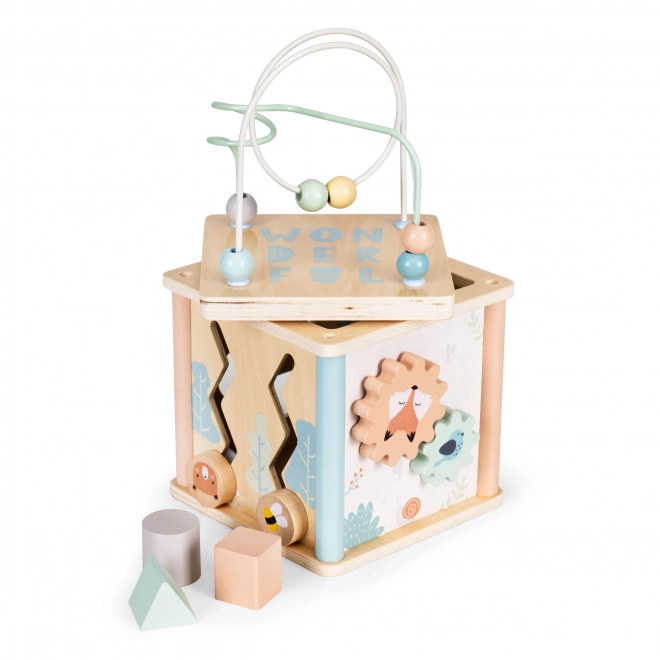 Jucărie educativă din lemn cub sorter Ecotoys