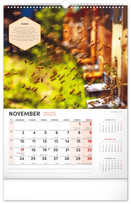 Calendar de perete apicol 2025