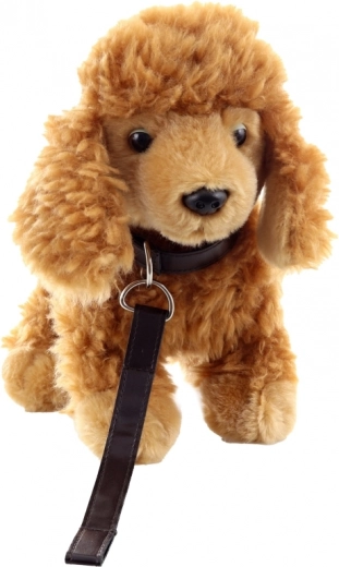 Sigur și potrivit de la 0+