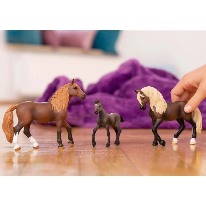 Parte din universul HORSE CLUB