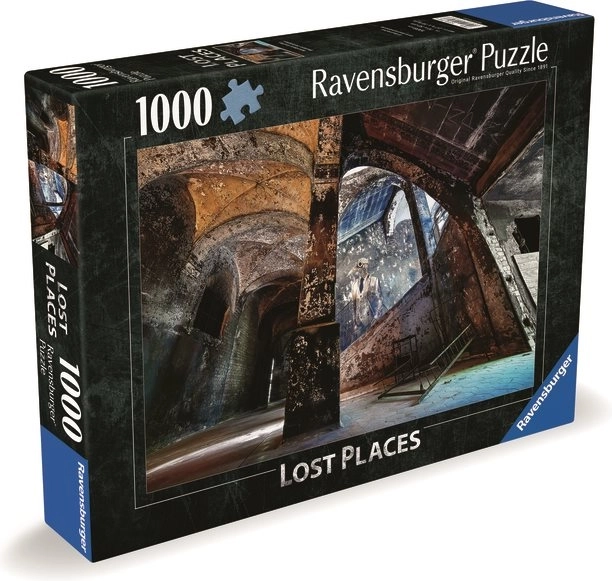 Puzzle Ravensburger Locuri Pierdute: Coridor Arcuit 1000 Piese
