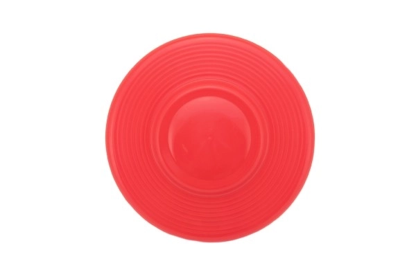 frisbee din plastic pentru copii 23cm