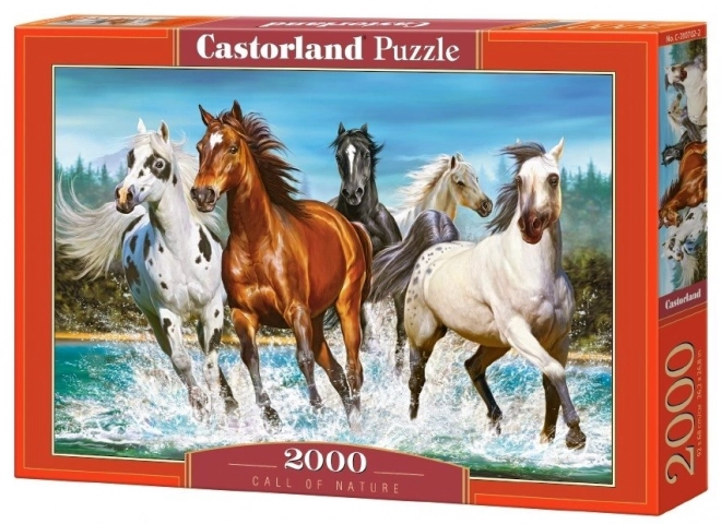 Puzzle Marea natură 2000 piese