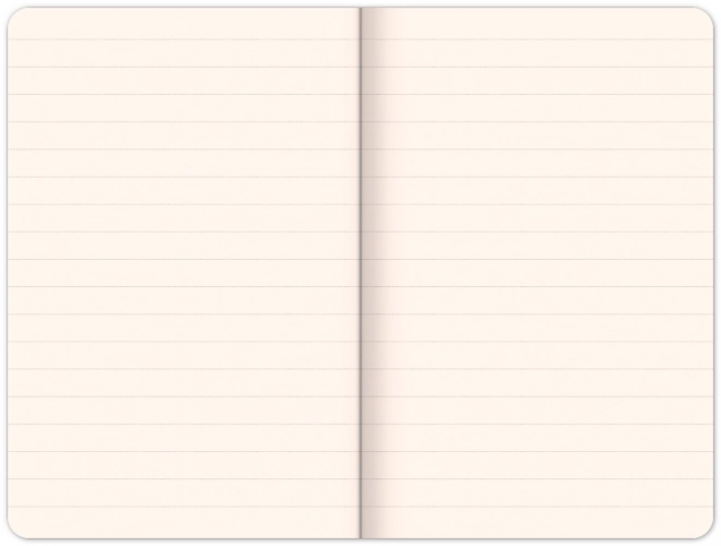 Caiet NOTIQUE Tenisky – Kateřina Kynclová, Liniat