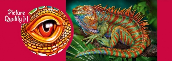 Puzzle incredibilul iguana 500 piese Cherry Pazzi