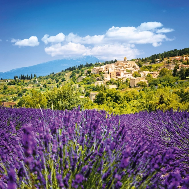 Calendar de notițe Provence 2026