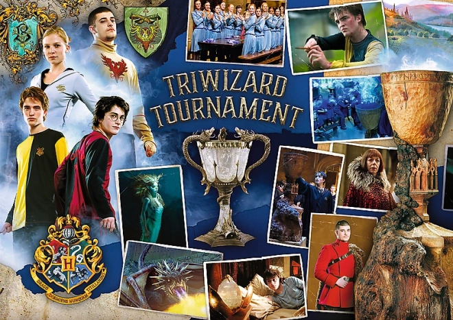 Puzzle Harry Potter: Turneu Trioiștilor, Vâjhaț și Hogwarts