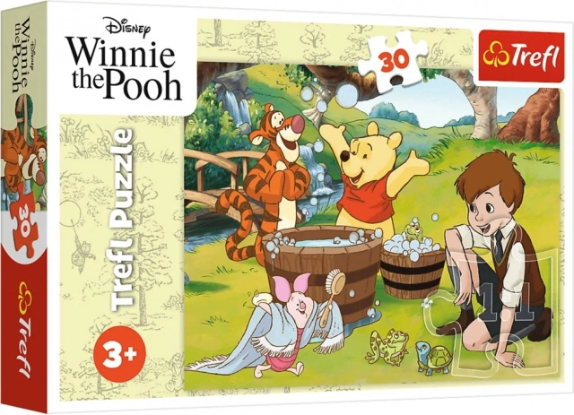 Puzzle 30 – ziua cu Ursulețul Winnie DISNEY