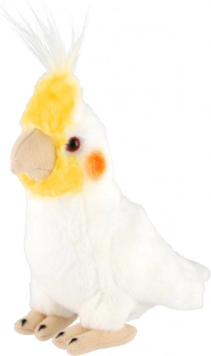 Detalii realiste ale cocoriului