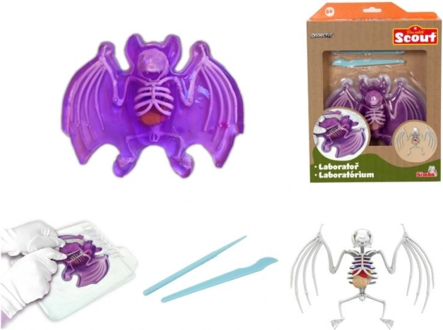 Descoperă: disecția unui liliac – set educațional cu slime