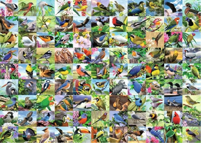 Puzzle Ravensburger 99 păsări fermecătoare 300 piese