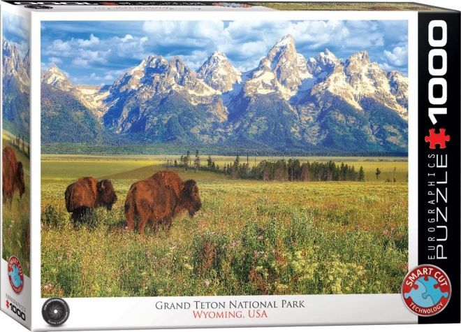 Puzzle Parcul Național Grand Teton 1000 piese