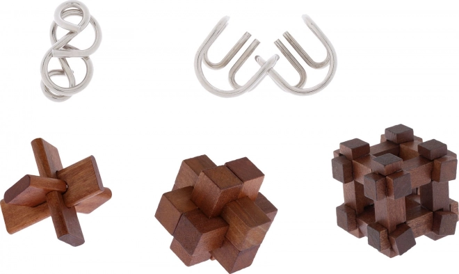 Set 5 puzzle-uri Great Minds de la Professor Puzzle