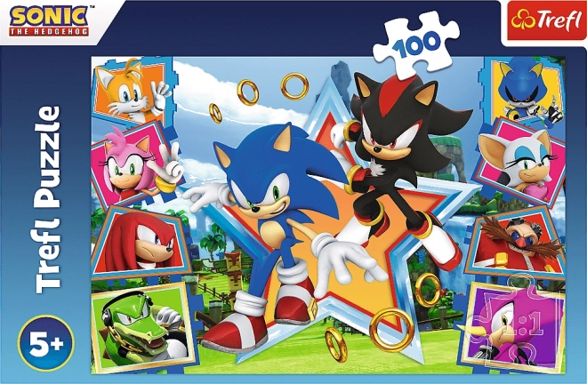 Puzzle 100 Piese Descoperă-l pe Sonic