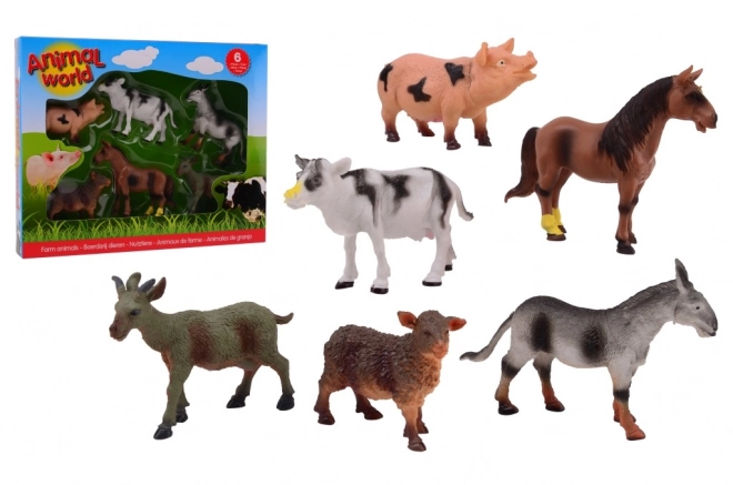 Animale domestice în cutie