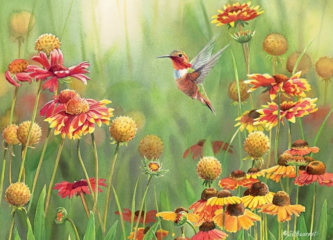 Puzzle Colibri 500 Piese COBBLE HILL