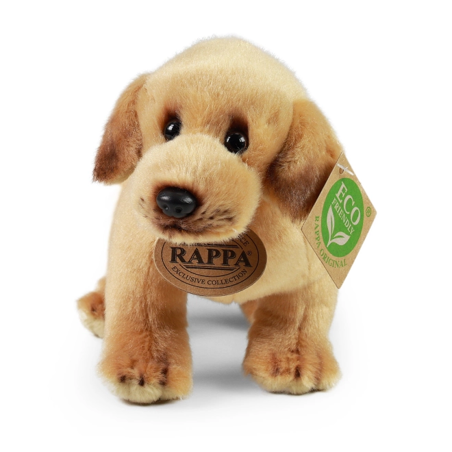 Umplutură eco‑friendly din PET reciclat